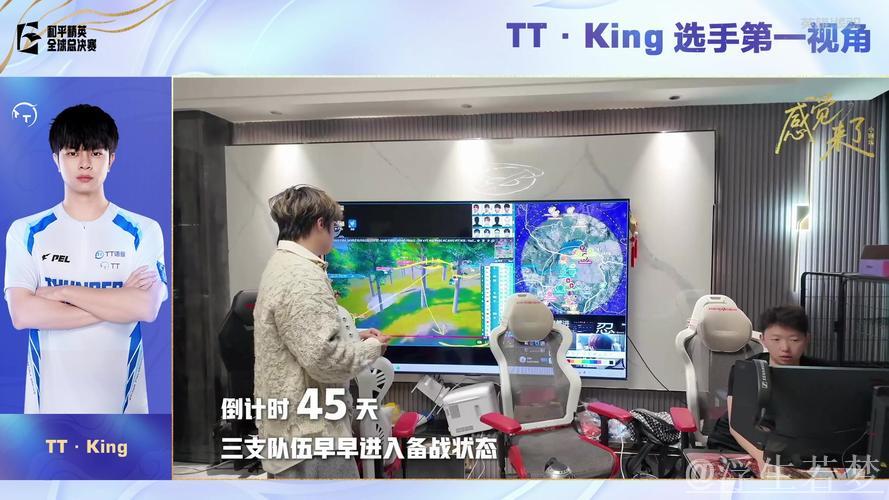 2025PMGC决赛第二天:TT-King第一视角(LGD-猫猫助阵) 2025PMGC决赛第二天:TT-King第一视角(LGD-猫猫助阵)